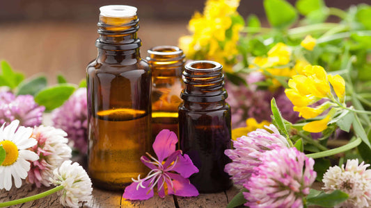 The Power of Essential Oils: A Natural Path to Relaxation
