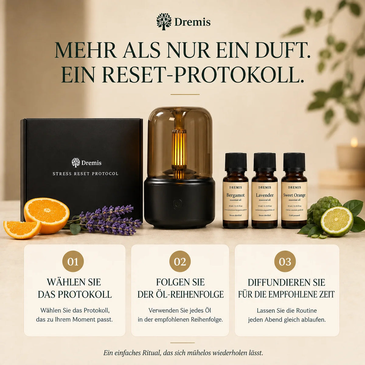 Stress Reset Protocol Bundle