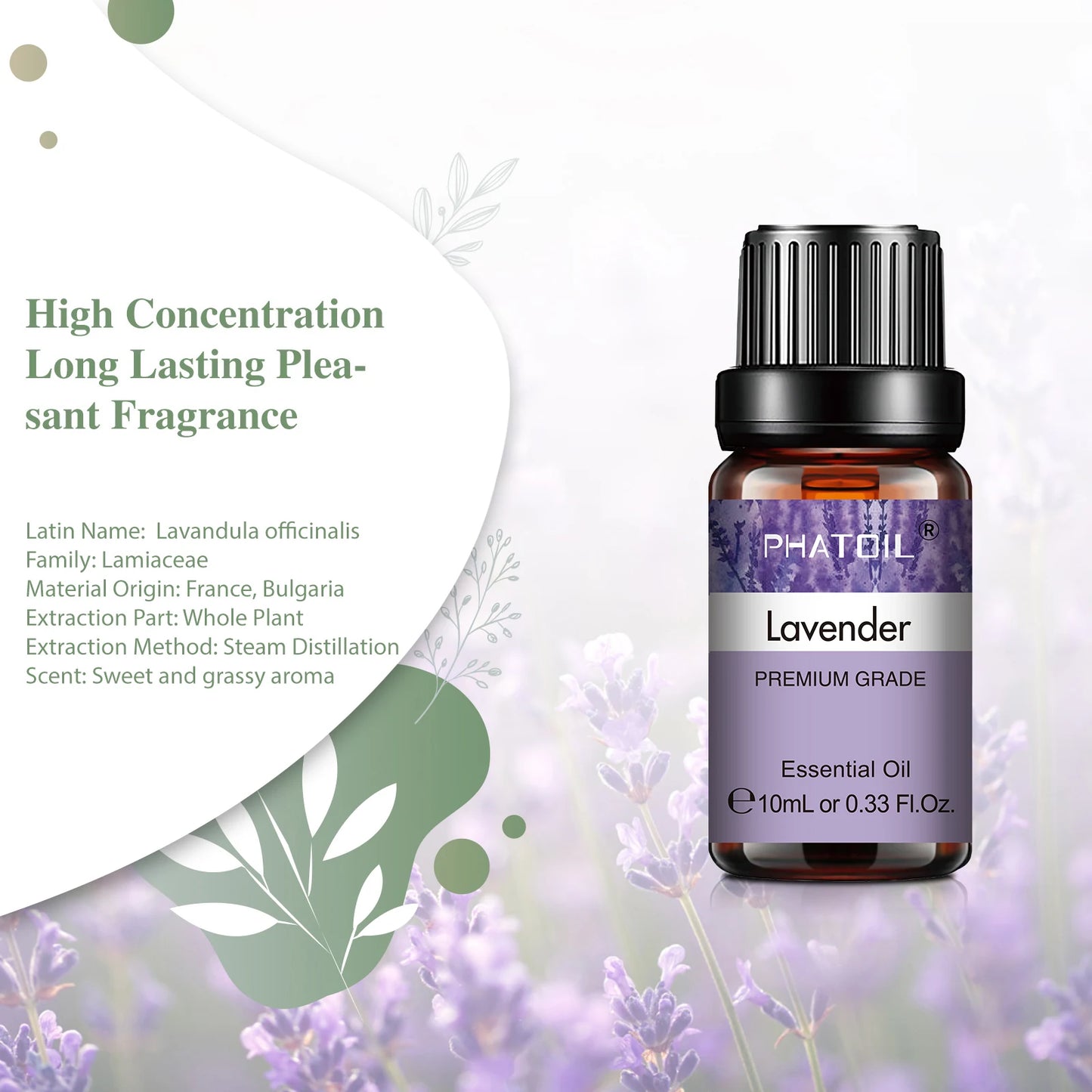 Focus & Clarity 10ml Set
