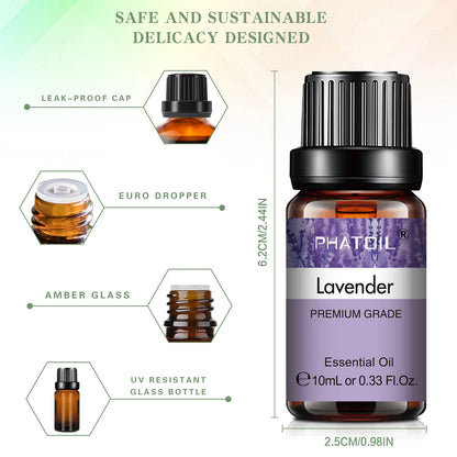 Focus & Clarity 10ml Set