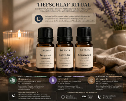 Deep Sleep Ritual Protocol